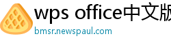 wps office中文版下载